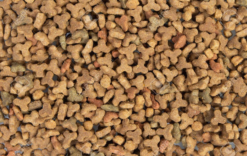 Kedi ve Köpek Mamalarında İçerik Etiketi Nasıl Okunmalı?